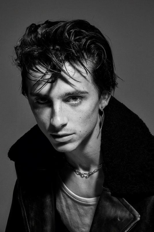 Timothee Chalamet Moody Portrait Photo Print Hollywood Celebrity Poster Handsome Man Wall Art Hot Male Aesthetic Decor for Bedroom Living Room - xonomax