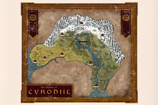 The Elder Scrolls Poster Cyrodiil Map Print Fantasy RPG Video Game Wall Art Open World Gamer Decor