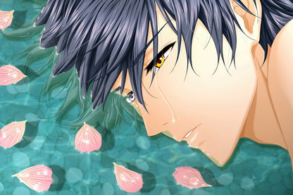 Hakkenden Eight Dogs of the East Anime Poster Inukawa Sousuke Print Japanese Manga Wall Art - xonomax