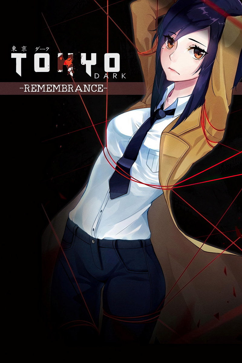 Tokyo Dark Game Poster Anime Style Visual Novel Print for Gaming Room Otaku Japanese Manga Wall Art - xonomax