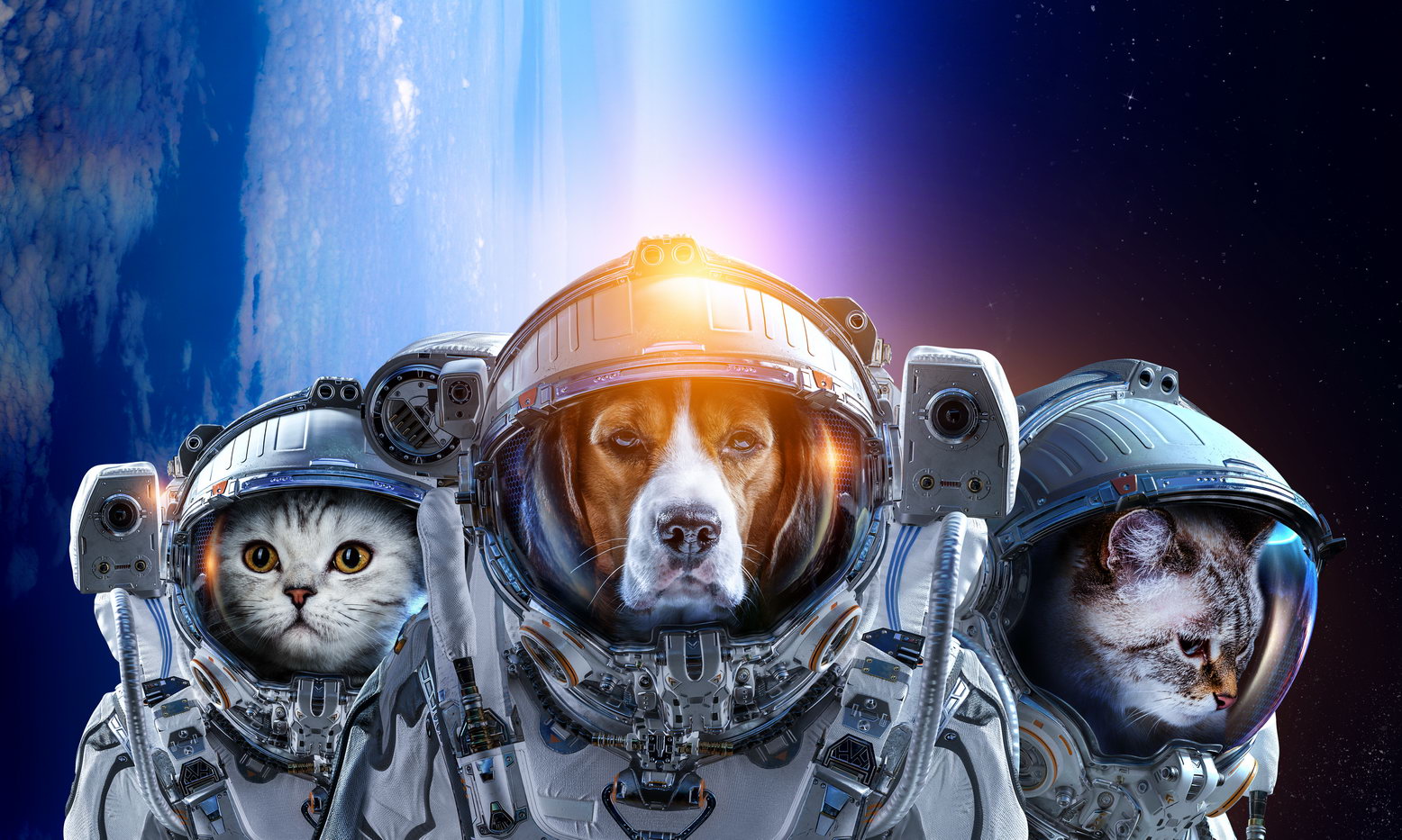 Three Astronaut Pets Two Cats And Dog Explore Space Animal Art Poster - xonomax