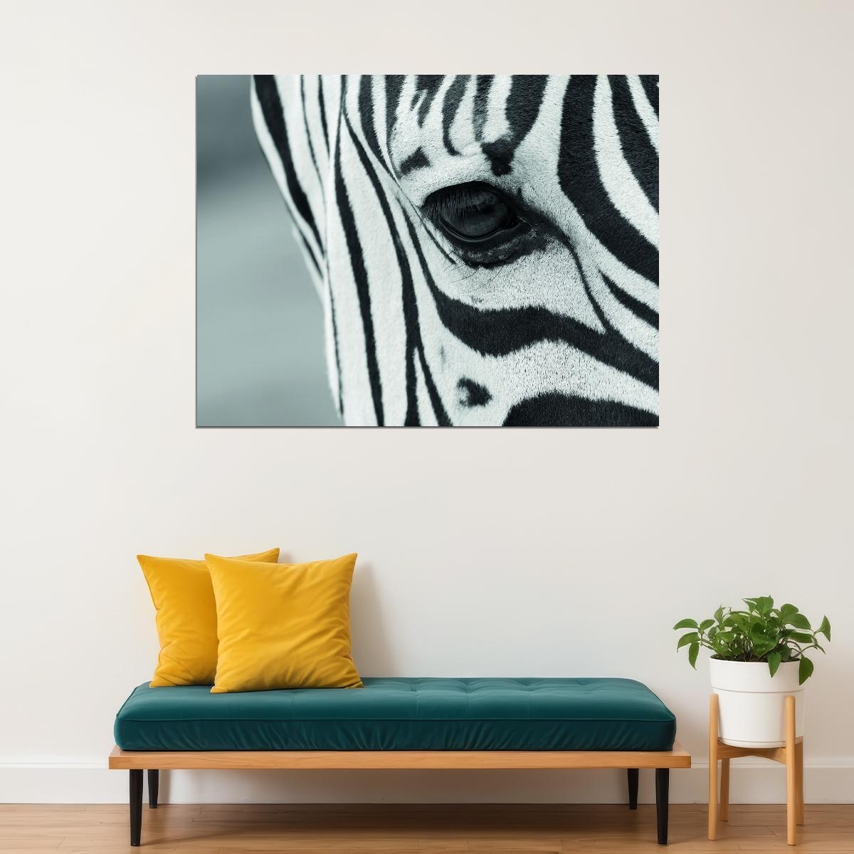 Close-Up Zebra's Eye Animal Art Poster - xonomax