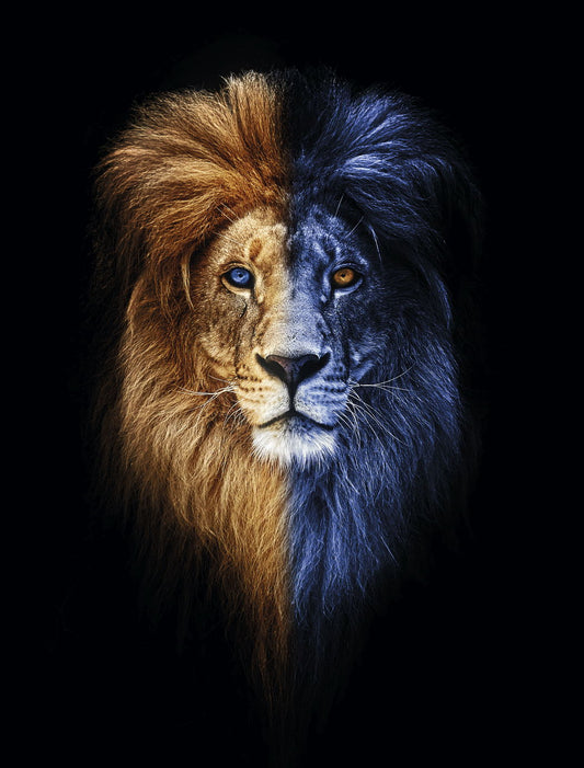 Two Sides of the Same Coin: A Lion's Journey from Darkness to Light Animal Pop Art Poster - xonomax