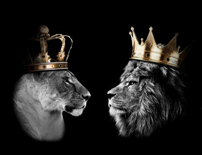Kings and Queens of the Jungle: A Regal and Powerful Pair Animal Art Poster - xonomax