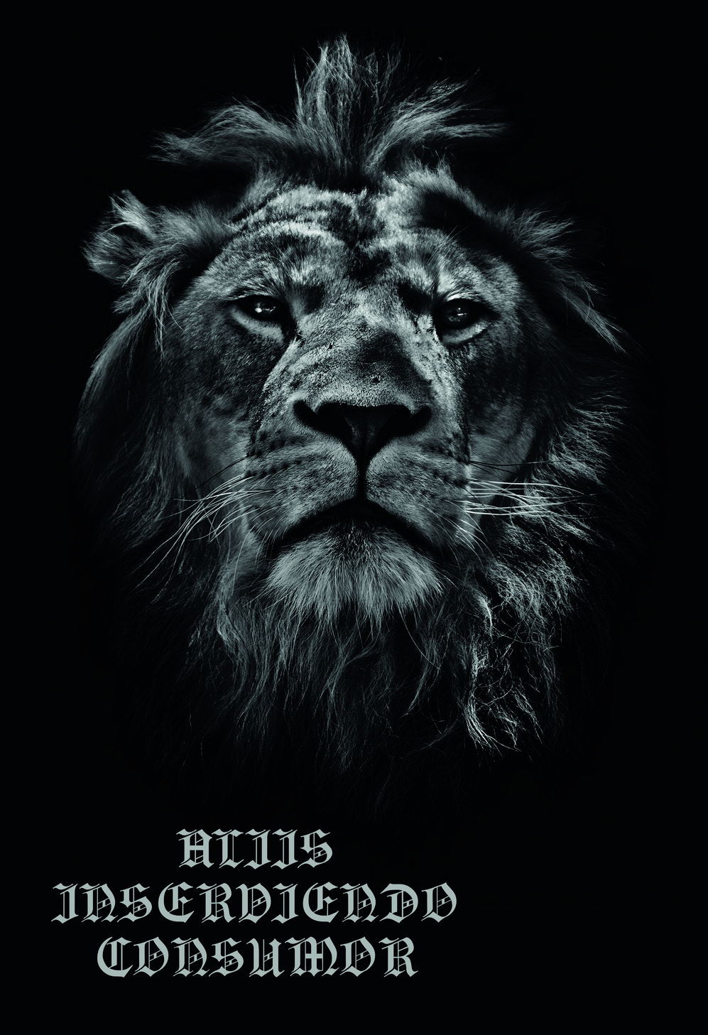 Aliis Inserviendo Consumor Lion King Animal Art Poster Latin Timeless Quote - xonomax