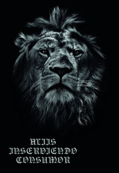 Aliis Inserviendo Consumor Lion King Animal Art Poster Latin Timeless Quote - xonomax