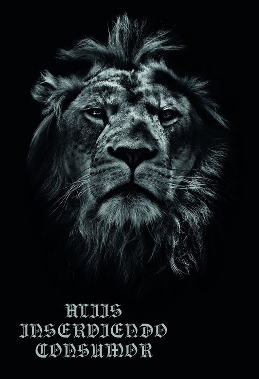 Aliis Inserviendo Consumor Lion King Animal Art Poster Latin Timeless Quote