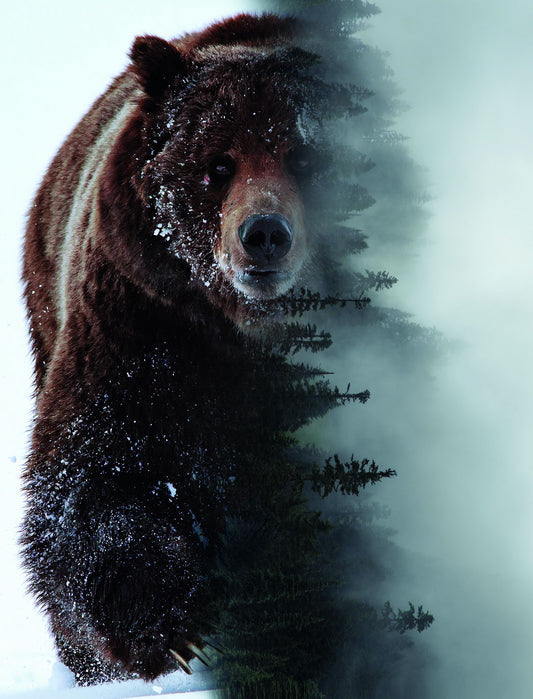 The Spirit of the Forest: A Bear Embodies the Wild Animal Art Poster - xonomax