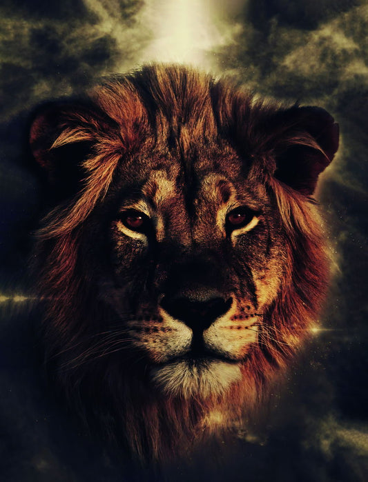 The Young Lion: A Symbol of Hope and Inspiration Animal Art Poster - xonomax