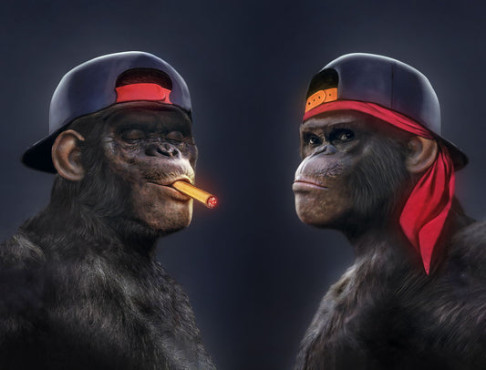 Monkeys Hip Hop Rappers Snapbacks Thug Style Pop Art Poster - xonomax