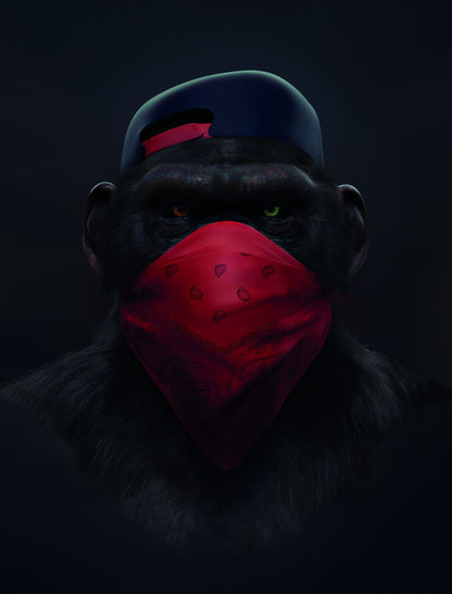 Monkey In Red Balaclava Pop Art Poster - xonomax