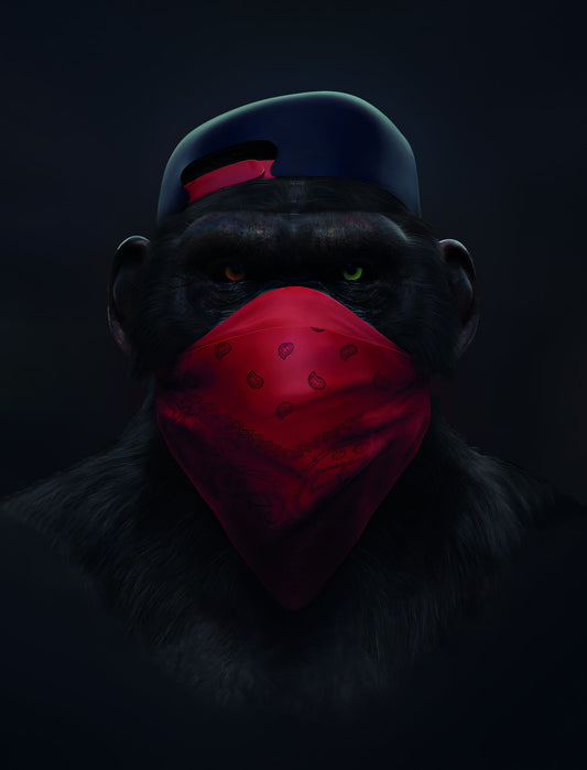 Monkey In Red Balaclava Pop Art Poster - xonomax