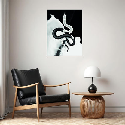 The Dance of Light and Dark: Snake Symbol Circle of Life and Death Animal Art Poster - xonomax