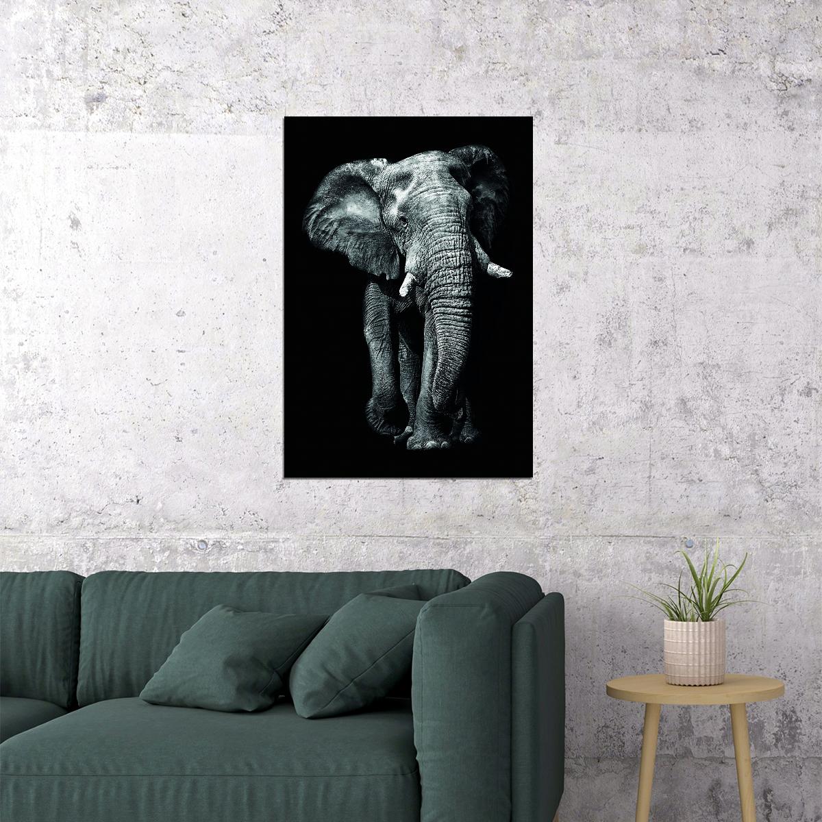 The Majesty of the Elephant: Black and White Animal Art Poster - xonomax