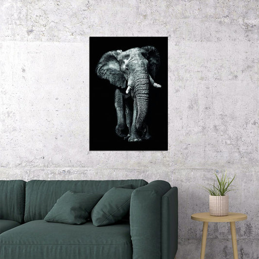 The Majesty of the Elephant: Black and White Animal Art Poster - xonomax