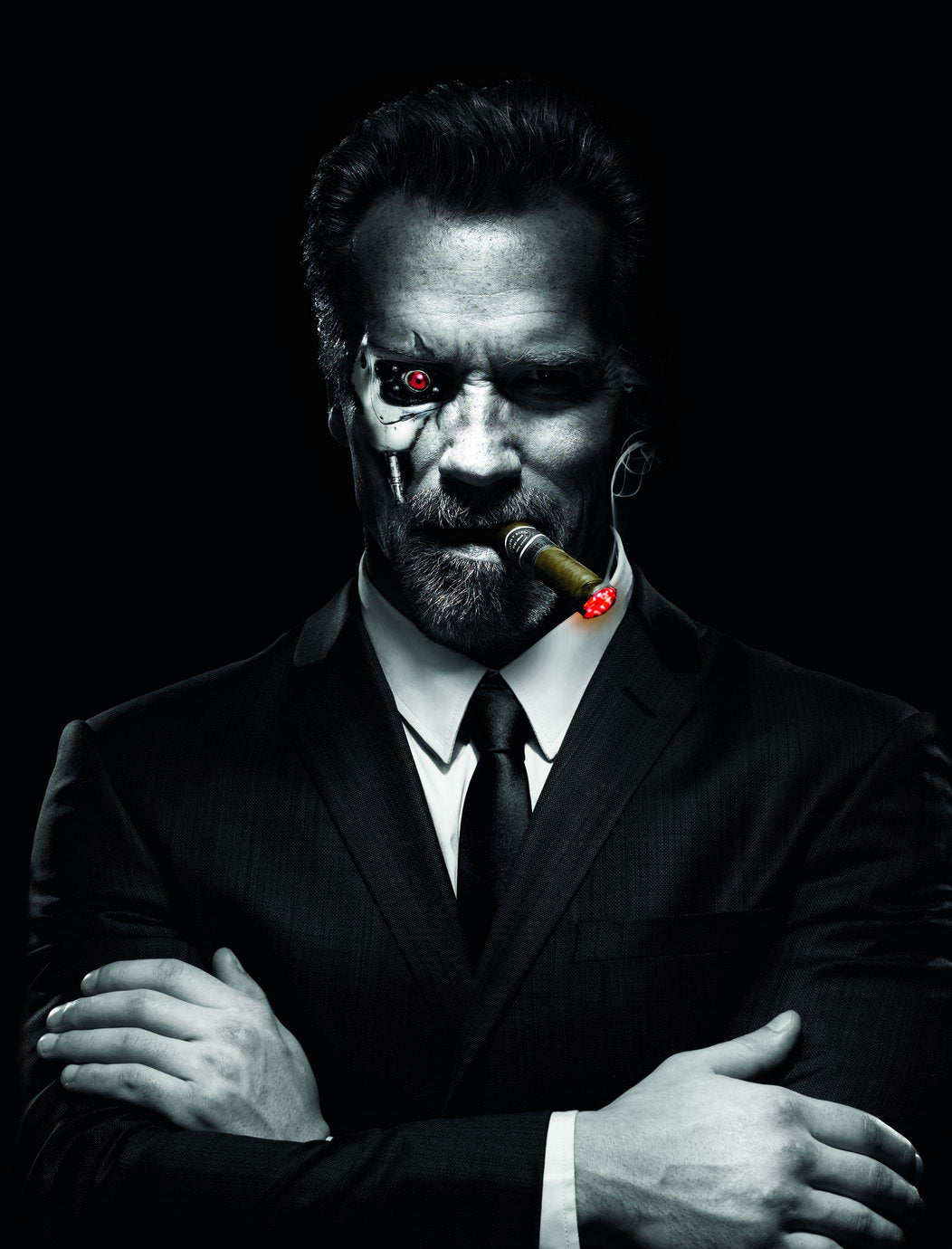 Arnold Schwarzenegger The Terminator Art Poster