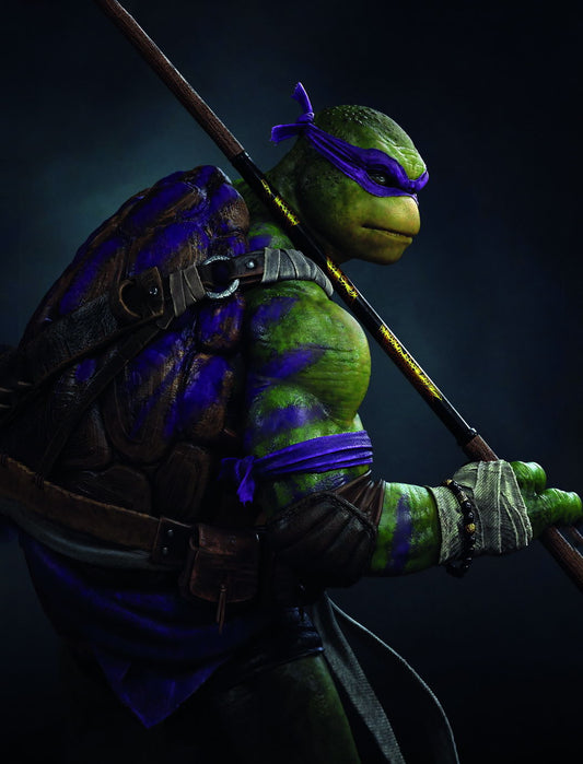 Teenage Mutant Ninja Turtles Movie Poster Raphael Iconic Hero Print