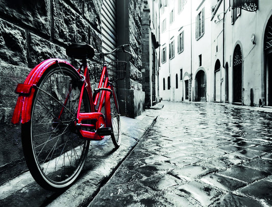 Vintage Red Bicycle Poster Rainy Street Scene Retro Urban Photography Black and White Wall Decor Print - xonomax