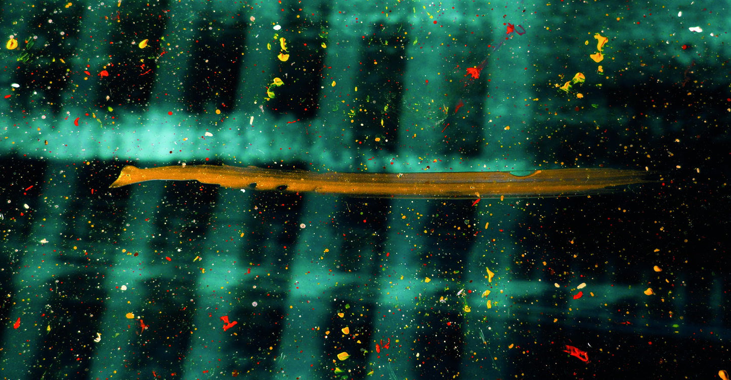 Green Forest Lights Poster Dreamy Nature Art Abstract Night Sky Wall Decor Print - xonomax