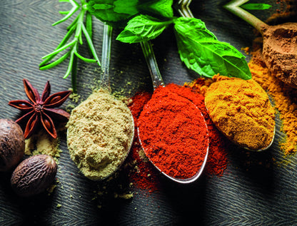 Assorted Spices Poster Vibrant Culinary Art Rustic Kitchen Decor Modern Food Wall Print - xonomax