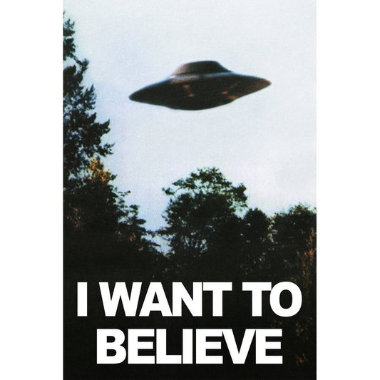 I WANT TO BELIEVE The X Files Series Wall Print Poster