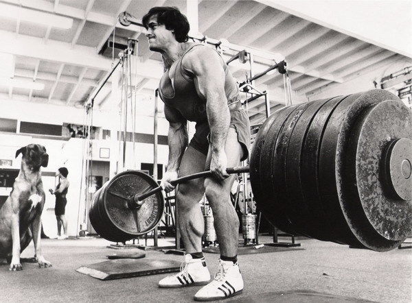 GYM Franco Columbu Body Building Muscle Exerci Wall Print Poster