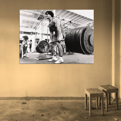 GYM Franco Columbu Body Building Muscle Exerci Wall Print Poster