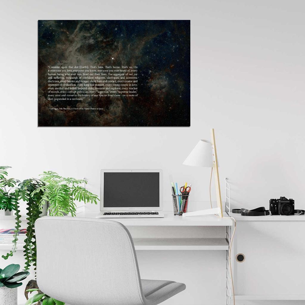 Carl Sagan Pale Blue Dot Space Quote Art POSTER PRINT