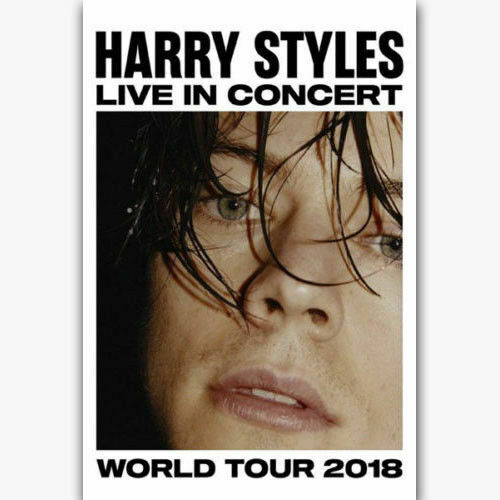 Harry Styles 2018 World Tour Rock Music Pop Star PRINT POSTER