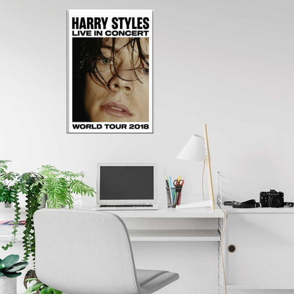 Harry Styles 2018 World Tour Rock Music Pop Star PRINT POSTER