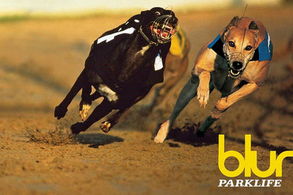 Blur Parklife Seymour Rock Band Britpop Art Decor Print Poster
