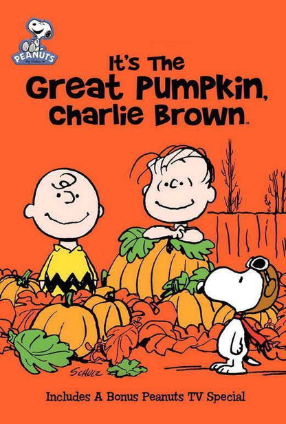 It a Great Pumpkin Charlie Brown Peter Robbins Decor Wall Print POSTER