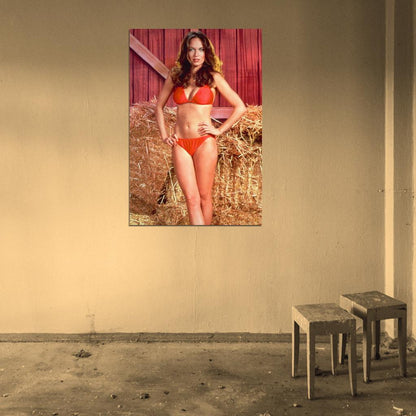 Catherine Bach Dukes of Hazzard Red Bikini Wall POSTER Print