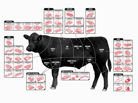 Beef Cuts of Meat Cattle Diagram Art Print Poster